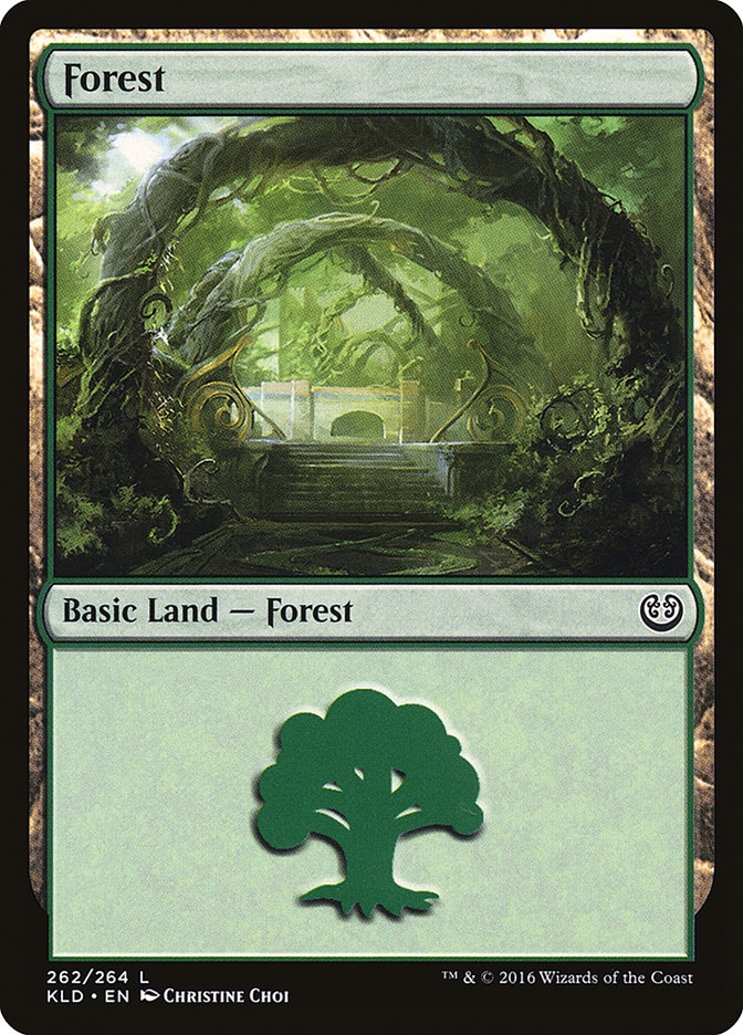 Forest (262) [Kaladesh] | Enigma On Main