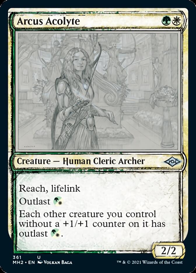 Arcus Acolyte (Sketch) [Modern Horizons 2] | Enigma On Main