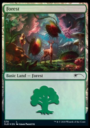 Forest (Predatory) (578) [Secret Lair Drop Promos] | Enigma On Main