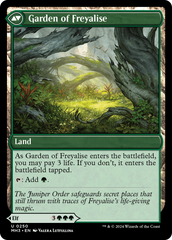 Disciple of Freyalise [Modern Horizons 3] | Enigma On Main