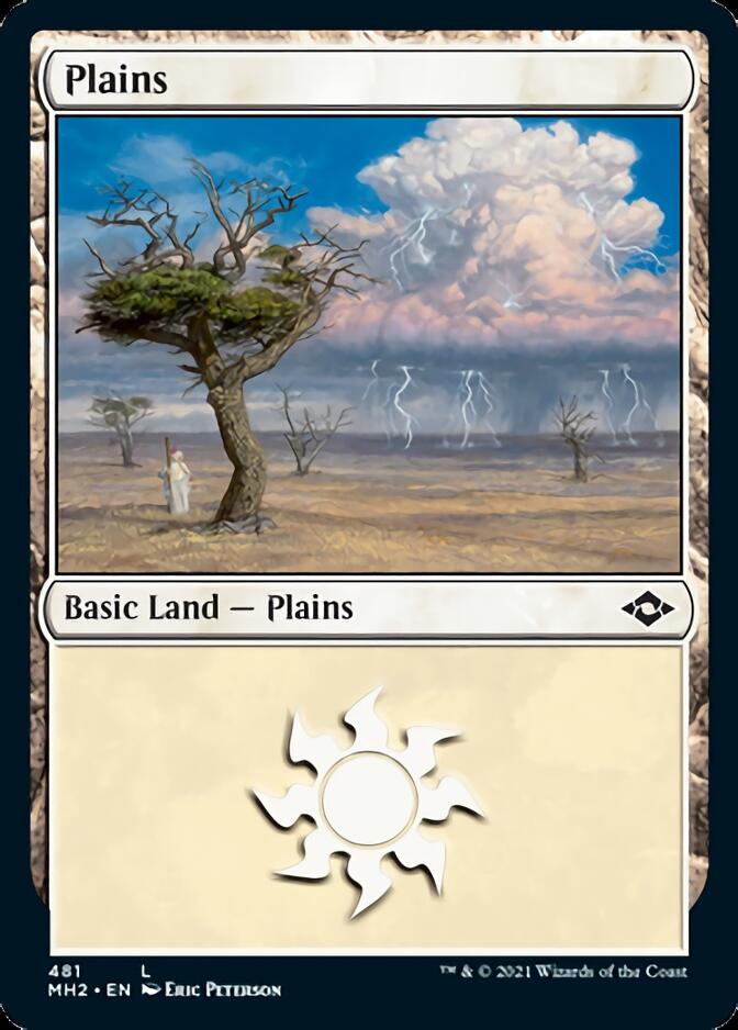 Plains (481) (Foil Etched) [Modern Horizons 2] | Enigma On Main