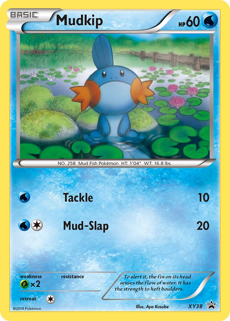 Mudkip (XY38) [XY: Black Star Promos] | Enigma On Main