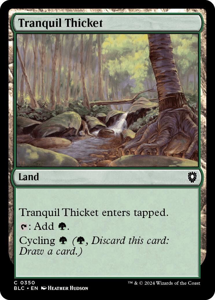 Tranquil Thicket [Bloomburrow Commander] | Enigma On Main