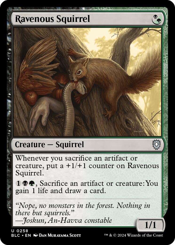 Ravenous Squirrel [Bloomburrow Commander] | Enigma On Main