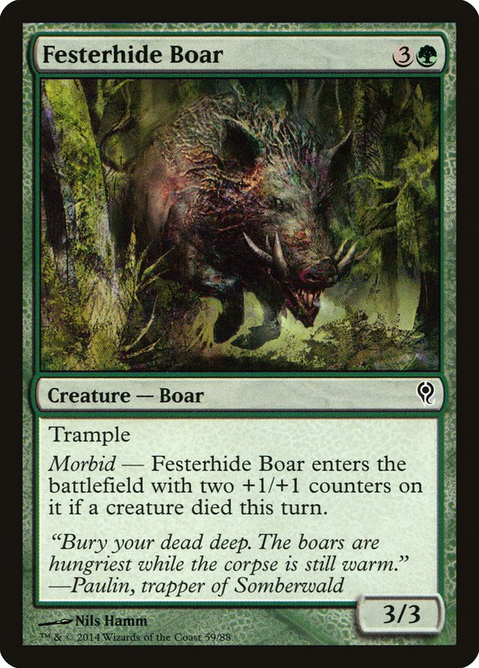 Festerhide Boar [Duel Decks: Jace vs. Vraska] | Enigma On Main