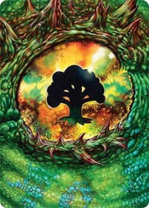 Forest Art Card (32/54) [Tarkir: Dragonstorm Art Series] | Enigma On Main