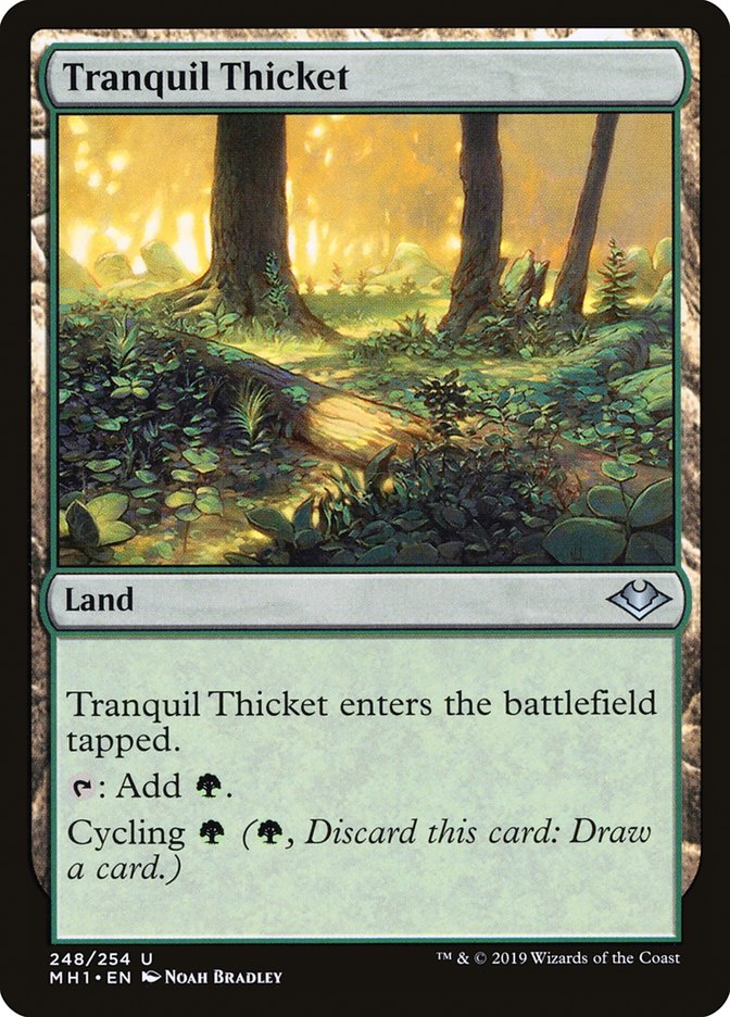 Tranquil Thicket [Modern Horizons] | Enigma On Main