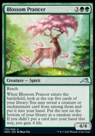 Blossom Prancer [The List] | Enigma On Main