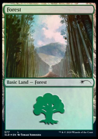 Forest (Walls) (577) [Secret Lair Drop Promos] | Enigma On Main