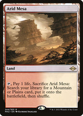 Arid Mesa [Modern Horizons 2] | Enigma On Main