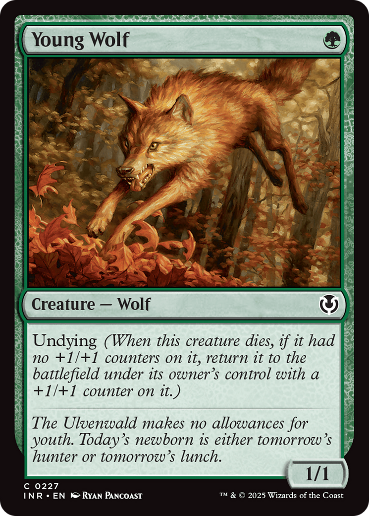 Young Wolf [Innistrad Remastered] | Enigma On Main