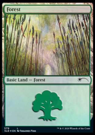 Forest (Elves) (579) [Secret Lair Drop Promos] | Enigma On Main