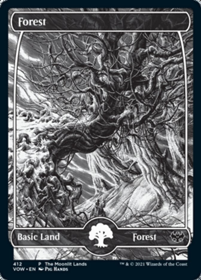 Forest (The Moonlit Lands) (Foil Etched) [Innistrad: Crimson Vow Promos] | Enigma On Main