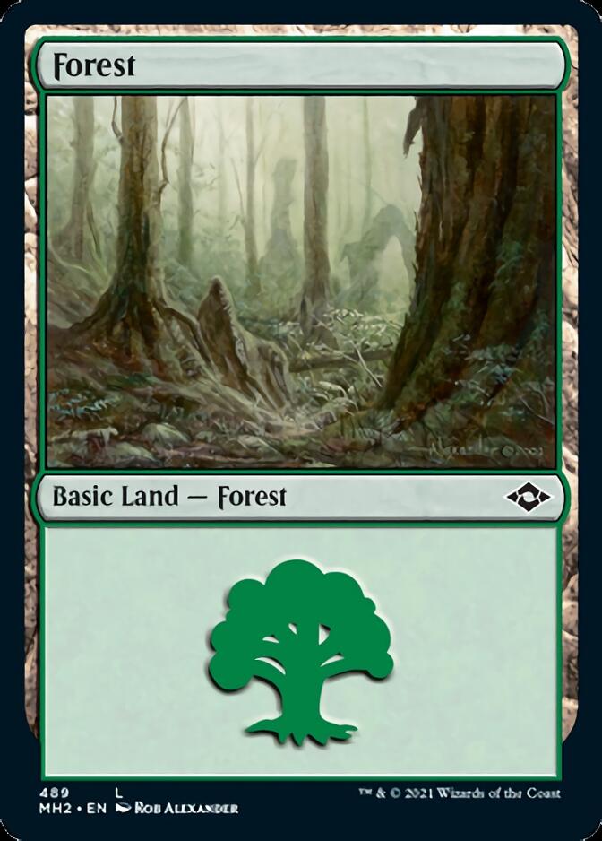 Forest (489) (Foil Etched) [Modern Horizons 2] | Enigma On Main