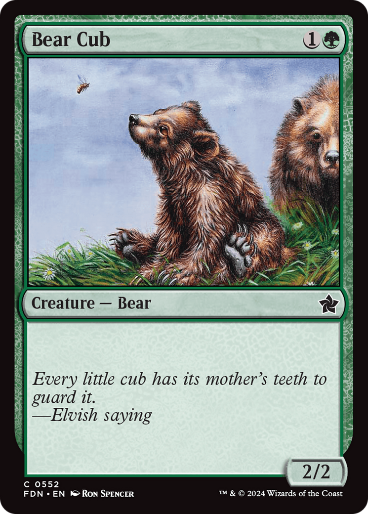 Bear Cub [Foundations] | Enigma On Main