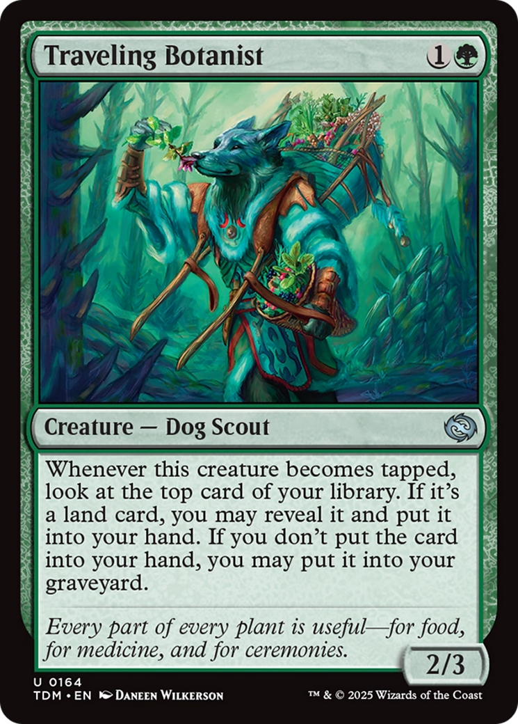 Traveling Botanist [Tarkir: Dragonstorm] | Enigma On Main