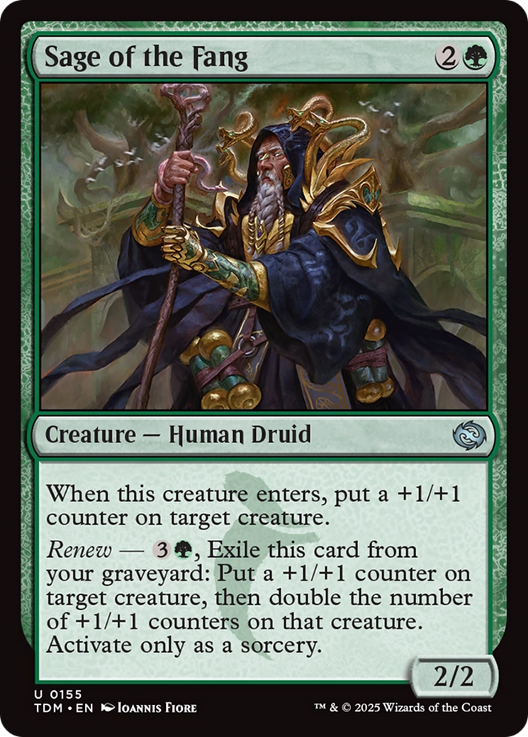Sage of the Fang [Tarkir: Dragonstorm] | Enigma On Main