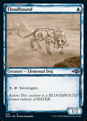 Floodhound (Sketch) [Modern Horizons 2] | Enigma On Main