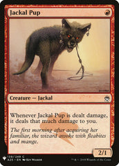 Jackal Pup [Mystery Booster] | Enigma On Main