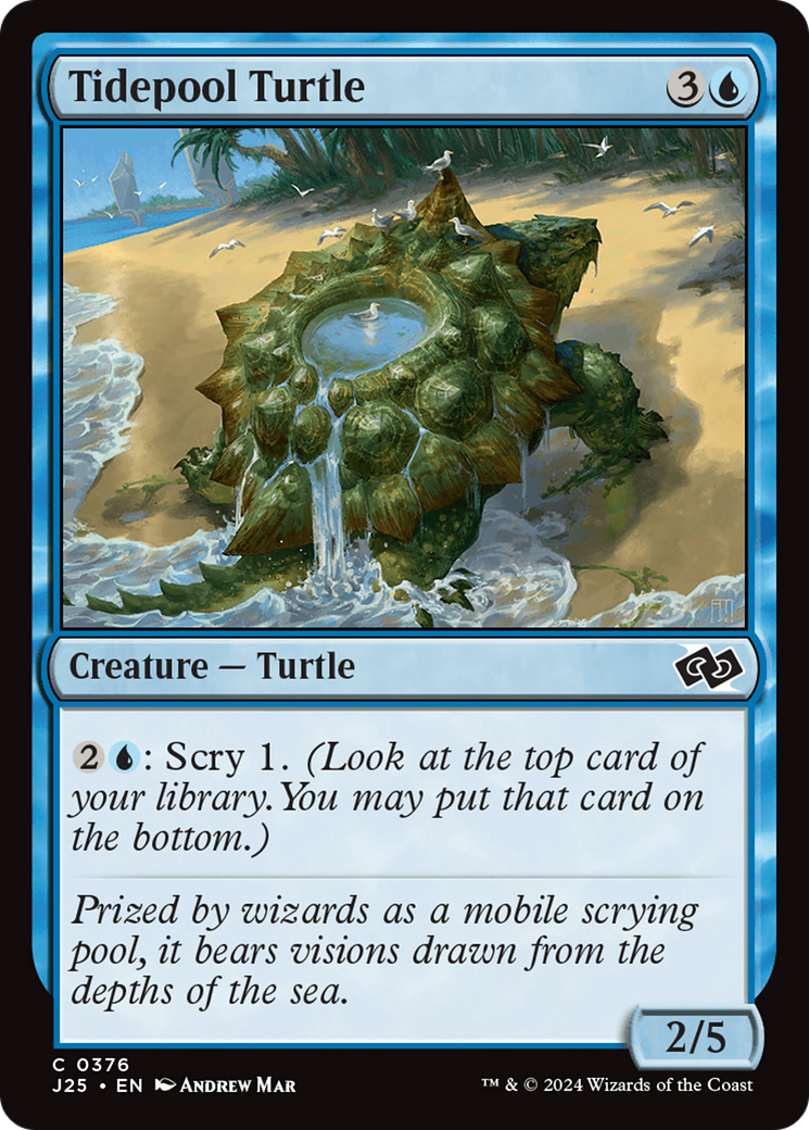 Tidepool Turtle [Foundations Jumpstart] | Enigma On Main