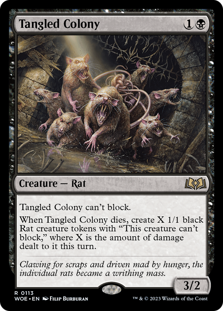 Tangled Colony [Wilds of Eldraine] | Enigma On Main