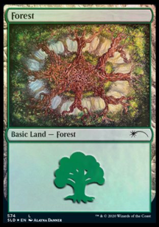 Forest (Plus One) (574) [Secret Lair Drop Promos] | Enigma On Main