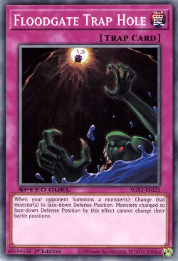 Floodgate Trap Hole [SGX1-ENI23] Common | Enigma On Main
