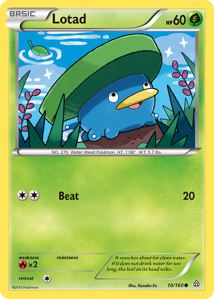 Lotad (10/160) [XY: Primal Clash] | Enigma On Main