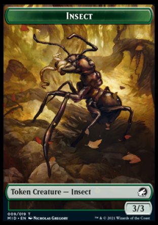 Insect Token [Innistrad: Midnight Hunt Tokens] | Enigma On Main