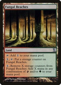Fungal Reaches [Time Spiral] | Enigma On Main