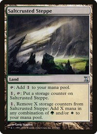 Saltcrusted Steppe [Time Spiral] | Enigma On Main