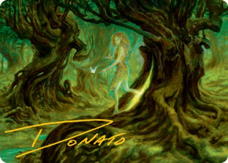 Neverwinter Dryad Art Card (Gold-Stamped Signature) [Dungeons & Dragons: Adventures in the Forgotten Realms Art Series] | Enigma On Main