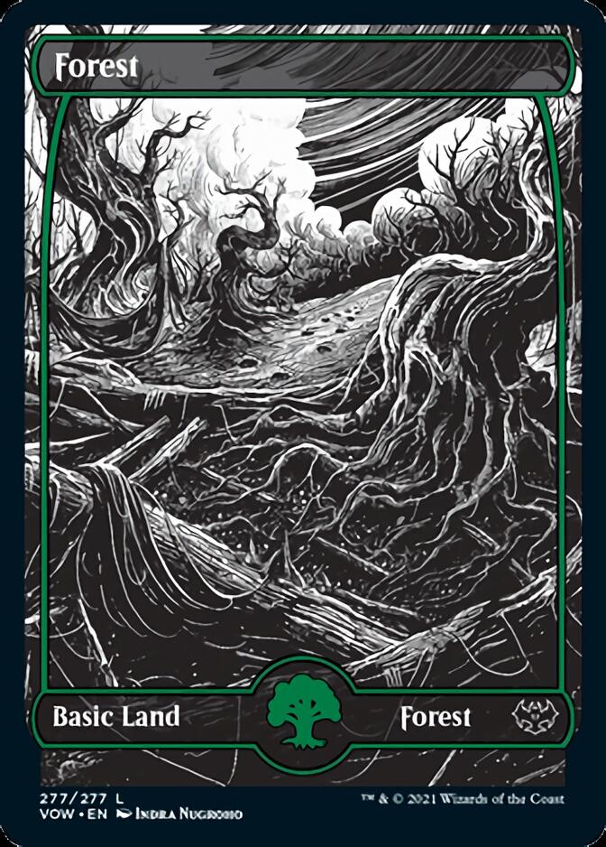 Forest (277) [Innistrad: Crimson Vow] | Enigma On Main