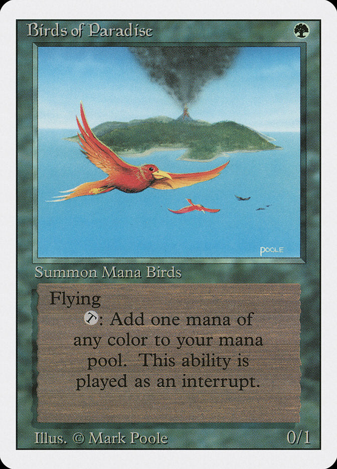 Birds of Paradise [Revised Edition] | Enigma On Main