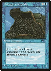 Giant Tortoise (Italian) - "Testuggine Gigante" [Renaissance] | Enigma On Main