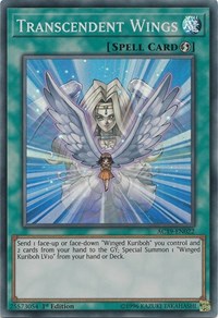 Transcendent Wings [Advent Calendar 2019] [AC19-EN022] | Enigma On Main