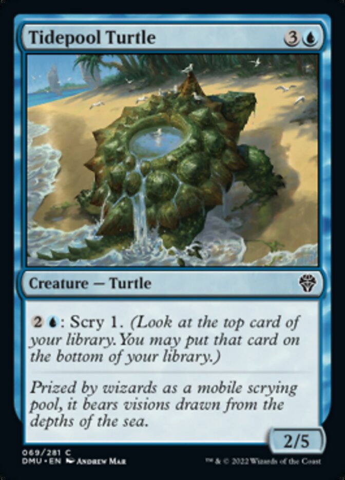 Tidepool Turtle [Dominaria United] | Enigma On Main