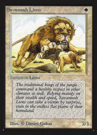 Savannah Lions (IE) [Intl. Collectors’ Edition] | Enigma On Main