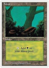 Forest (A) [Summer Magic] | Enigma On Main