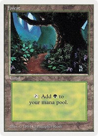 Forest (B) [Summer Magic] | Enigma On Main