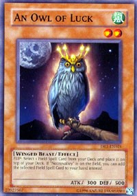 An Owl of Luck [Dark Revelation Volume 1] [DR1-EN021] | Enigma On Main