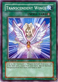 Transcendent Wings [Duelist Pack 1: Jaden Yuki] [DP1-EN018] | Enigma On Main