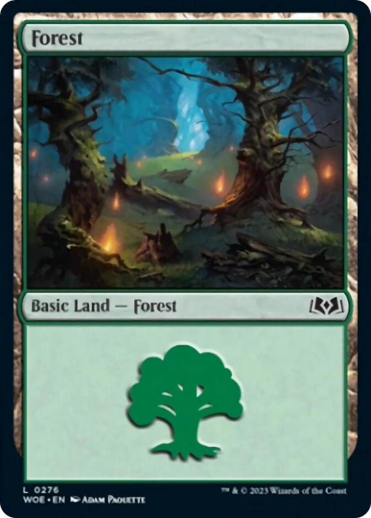 Forest (0276) [Wilds of Eldraine] | Enigma On Main