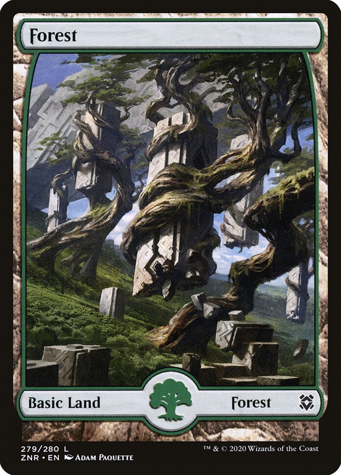 Forest (279) [Zendikar Rising] | Enigma On Main