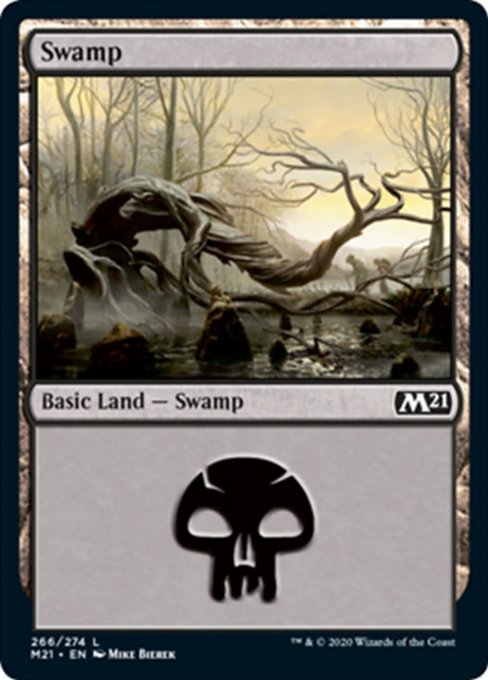 Swamp [Core Set 2021] | Enigma On Main