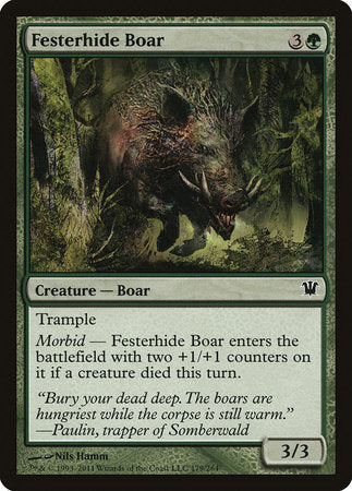 Festerhide Boar [Innistrad] | Enigma On Main