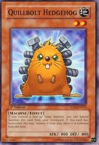 Quillbolt Hedgehog [5D's Starter Deck 2009] [5DS2-EN013] | Enigma On Main