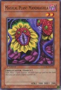 Magical Plant Mandragola [Structure Deck: Spellcaster's Command] [SDSC-EN012] | Enigma On Main