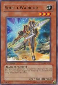 Shield Warrior [Duelist Pack 8: Yusei Fudo] [DP08-EN007] | Enigma On Main