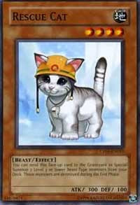 Rescue Cat [Champion Pack 5] [CP05-EN015] | Enigma On Main